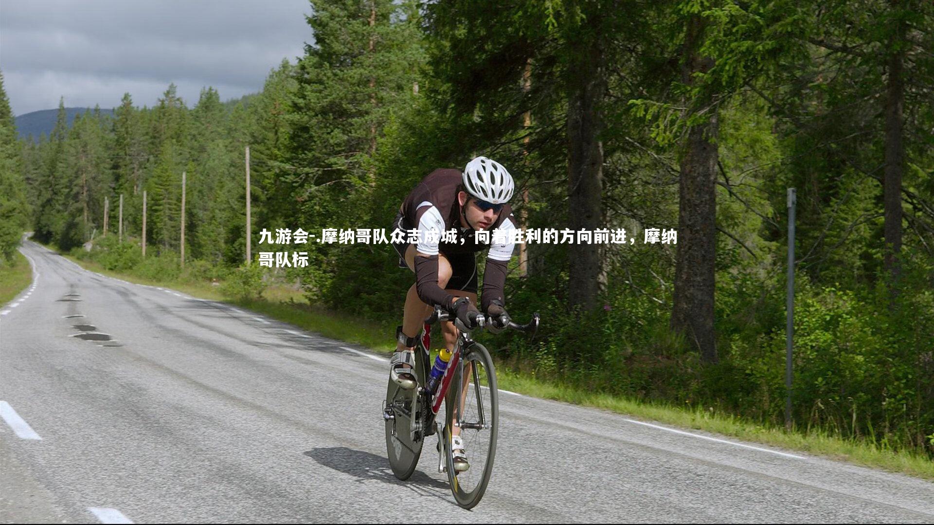 .摩纳哥队众志成城,向着胜利的方向前进,摩纳哥队标