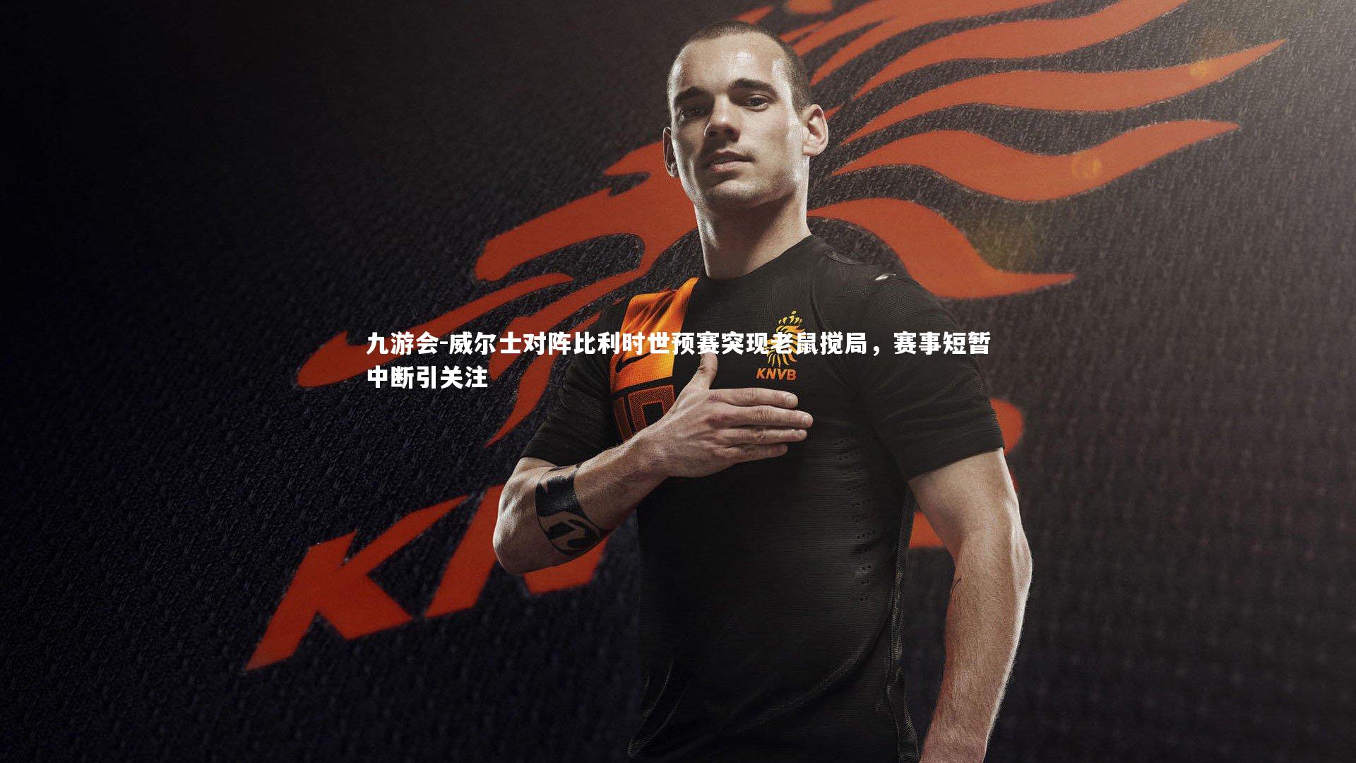 威尔士对阵比利时世预赛突现老鼠搅局，赛事短暂中断引关注